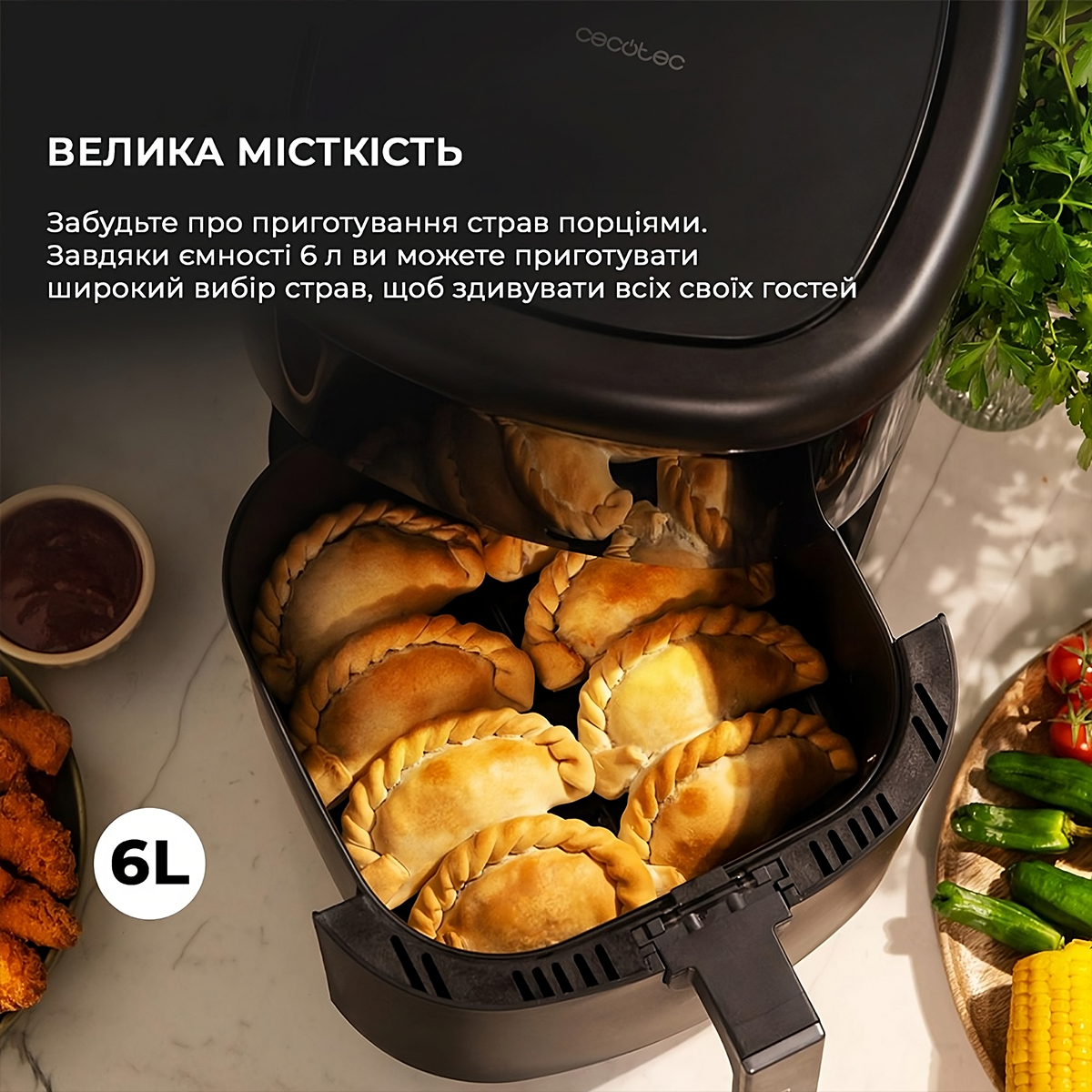 ᐉ Мультипечь Cecotec Cecofry Dual 9000 (CCTC-04996) купить по цене 8 999  грн. в Киеве и Львове, Украина