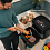 Мультипечь CECOTEC Cecofry&Grill Smokin'Prime 11000 
