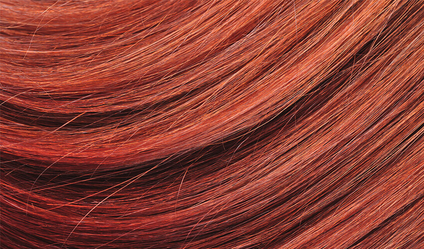 CECOTEC Bamba Ritual Care 900 Wet & Dry Max